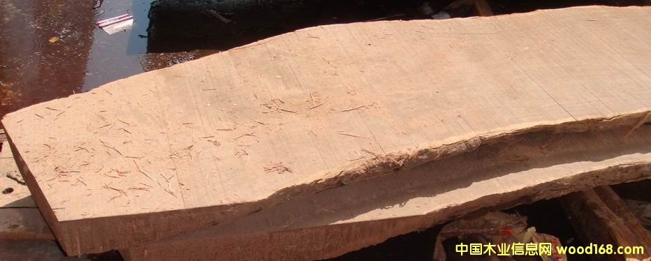 ����̴ľ���