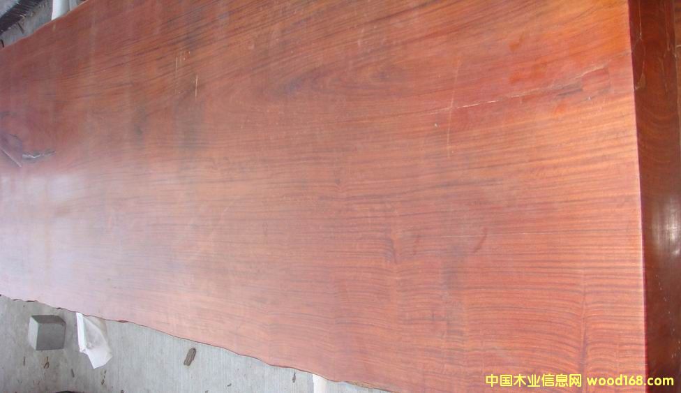 �c���鿴��ľ���Ŵ�DƬ