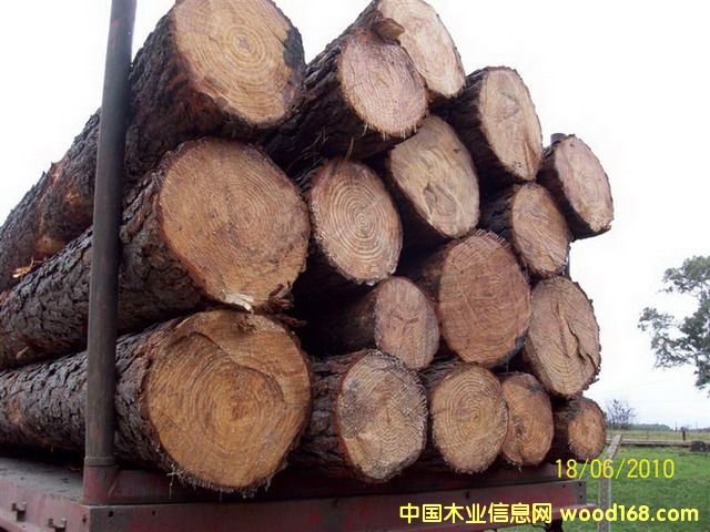 ����������ԭľ��Ԕ��(x��)��B