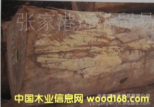 �������°�÷ľ ��z��ԭľ ��� ľ�� BEW