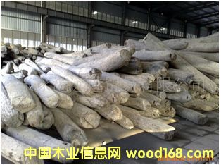 �������黨�� Խ����̴ԭľ ��� ľ�ĵ�Ԕ����B