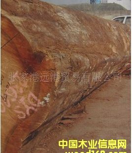 ����(y��ng)�����(sh��) �t��ԭľ ��� ľ�� DX / DYS