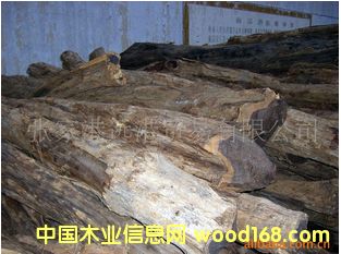 �����|�Ǻ��S̴ ��ľ ��̴ �Ϲ�̴ԭľ ľ�ĵ�Ԕ����B