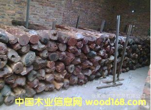 ����С�~��̴ ̴����̴ԭľ��Ԕ����B