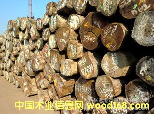 ������ ��ľԭľ ��� ľ�� TAU / KASA