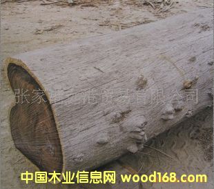 ���� �W���S̴ ���黨֦ ԭľ ��ĵ�Ԕ����B