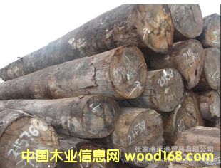 ����(y��ng)��������ľԭľ ľ��