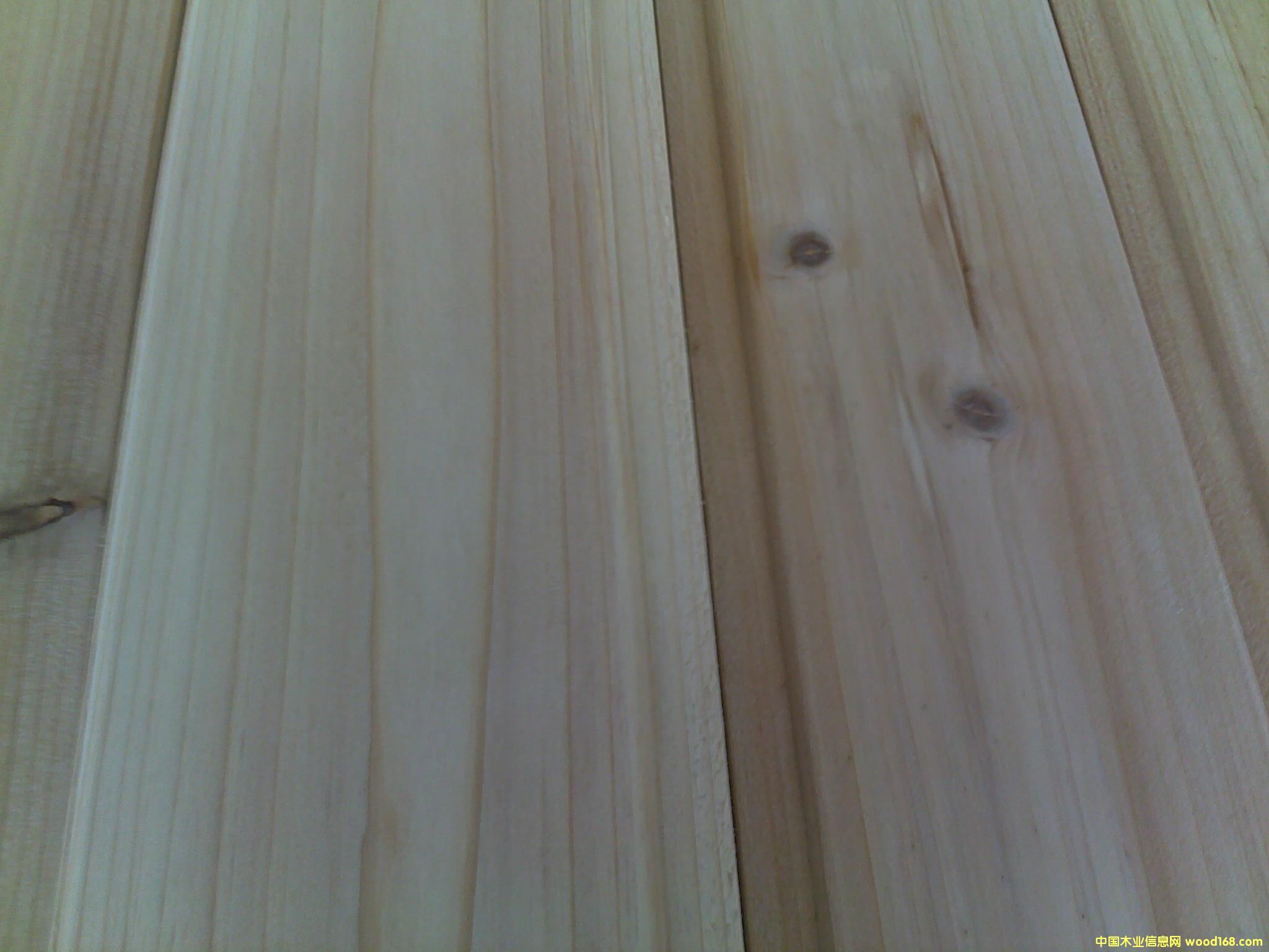 ��ɼ?j��)��ڰ壨��Ŀ��?><br>
                      <font size=3><b>��ɼ?j��)��ڰ壨��Ŀ��?/b></font></a></div>
                  </td>
                </tr>
                 
                <tr> 
                  
                <td height=