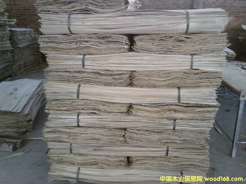 �c(di��n)���鿴��ľ�ΰ�Ŵ�DƬ