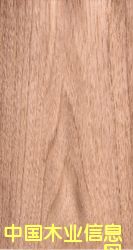 �ľ���y��Ԕ����B