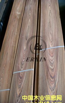 ��֦ľƤ��Ԕ����B