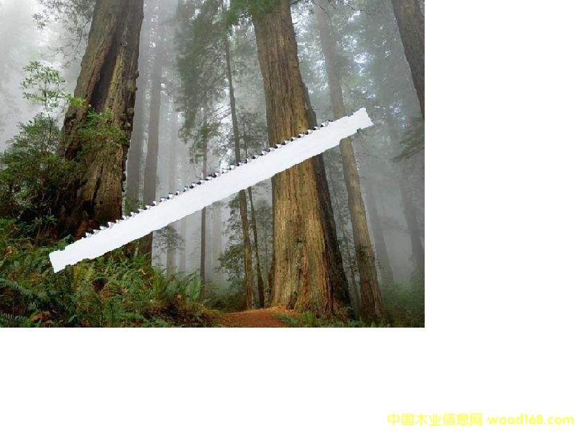 Ӳ�|(zh��)�Ͻ��䏗l��Ԕ��(x��)��B