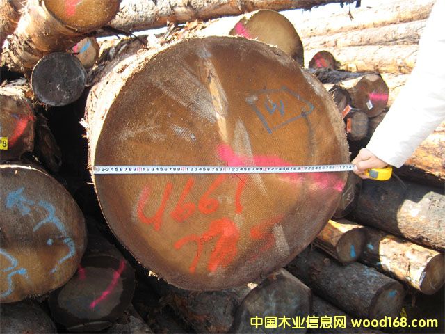 �Fɼԭľ��Ԕ��(x��)��B