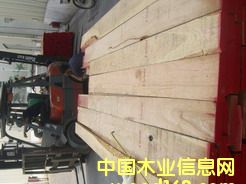 ����ľ��Ԕ��(x��)��B