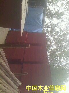 ľ�z���Ԕ����B