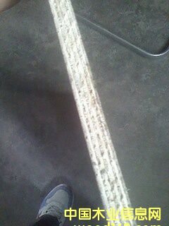 �Ӱ��Ԕ����B