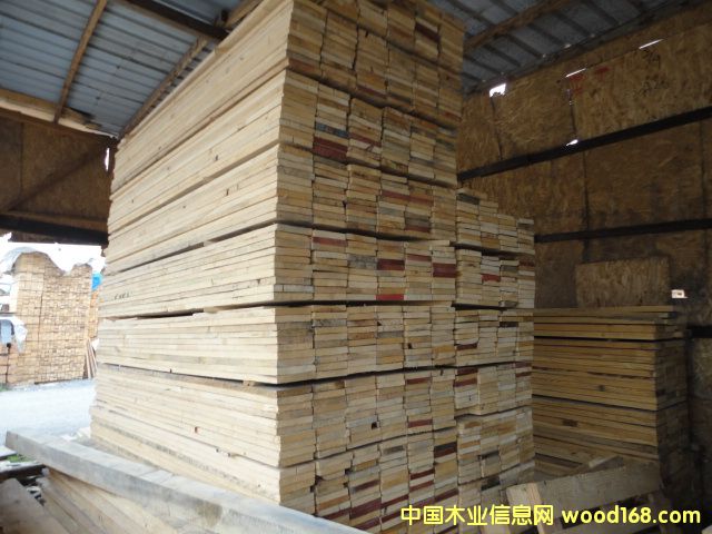 ľ��ľ�ŵ�Ԕ����B