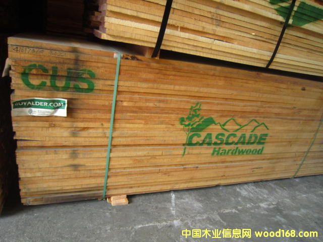 ���������Ԕ��(x��)��B