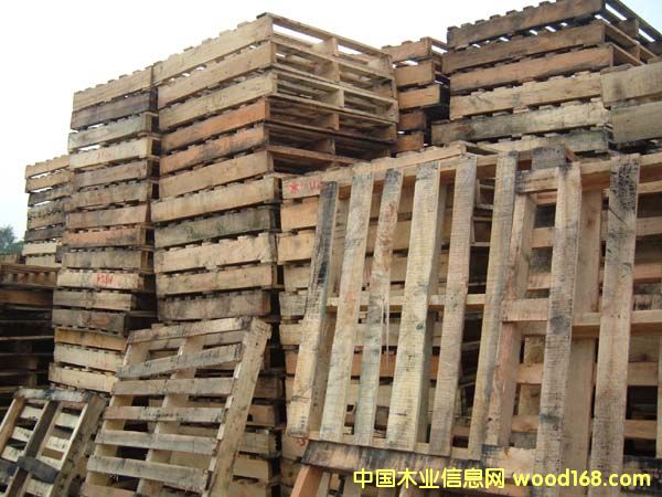 �B�T����ľ�бP��Ԕ��(x��)��B