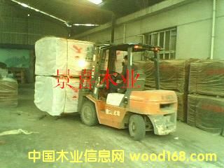 ��ϲľ�I(y��)�һ�о�ΰ��Ԕ��(x��)��B