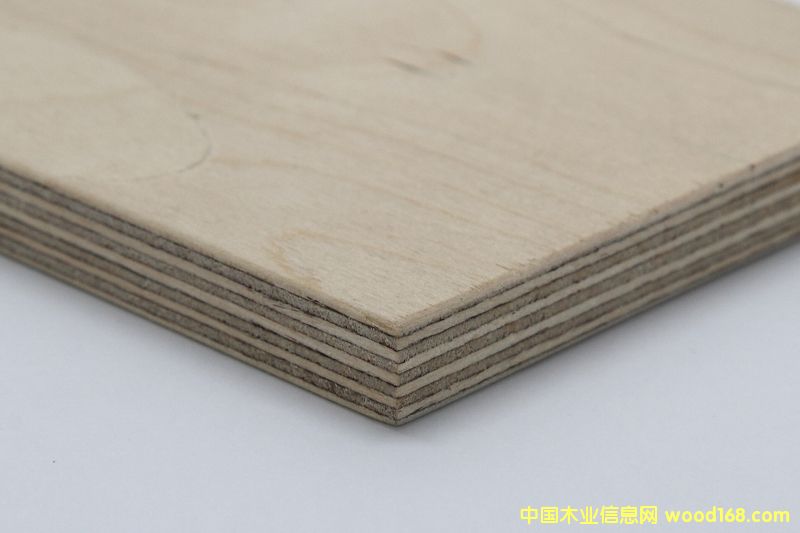 ȫ��ľ�z�ϰ�18��Ԕ��(x��)��B