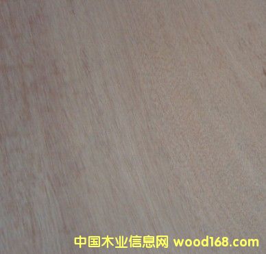 ��(x��)ľ�����Ԕ��(x��)��B