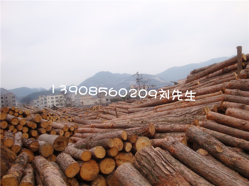 �V�Ó�ľ��ԭľ��Ԕ��(x��)��B