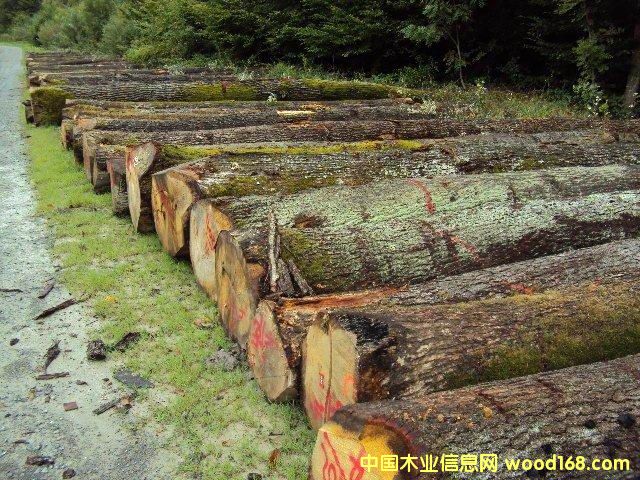 ����ԭľ��Ԕ��(x��)��B