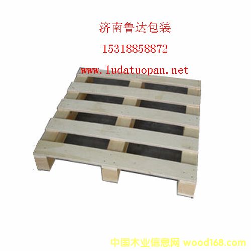 �z�ϰ��бP1003��Ԕ����B