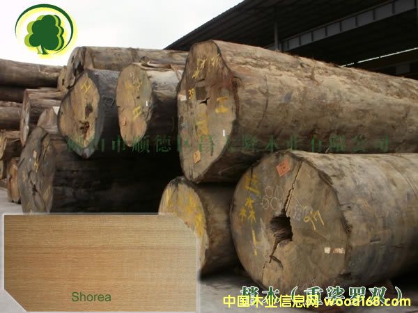 ��ľ �巽�@����/�촬��/���_(t��i)��13690415561��Ԕ��(x��)��B