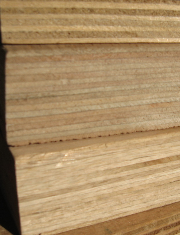 �W����������Ԕ��(x��)��B