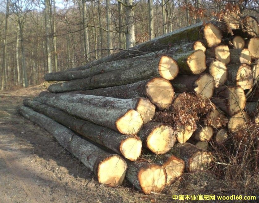 ˹�工�˰���ԭľ��Ԕ��(x��)��B