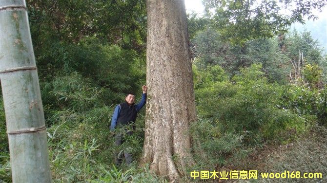  ��z�ľ-3��Ԕ��(x��)��B