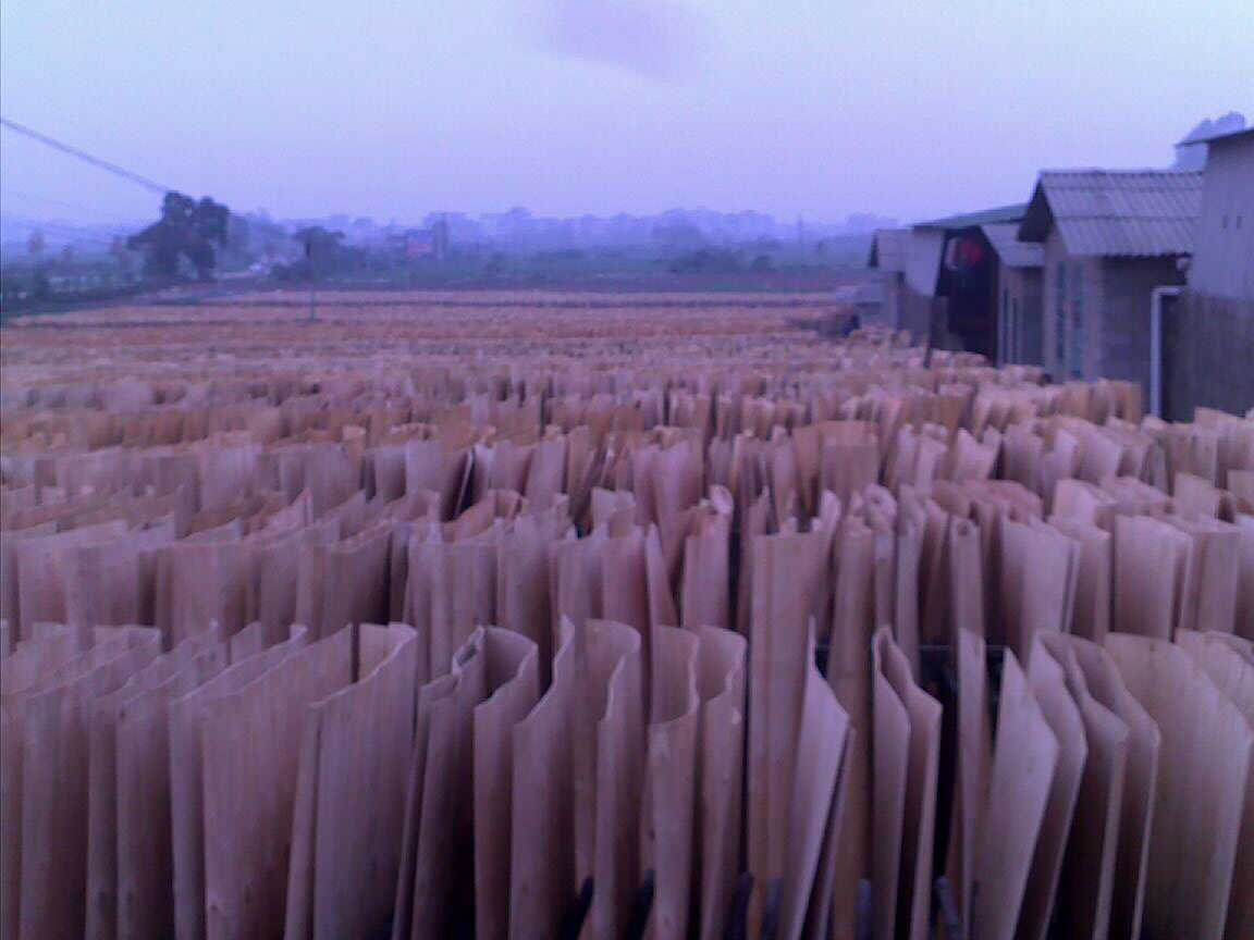 һ����ľ�ΰ��Ԕ��(x��)��B