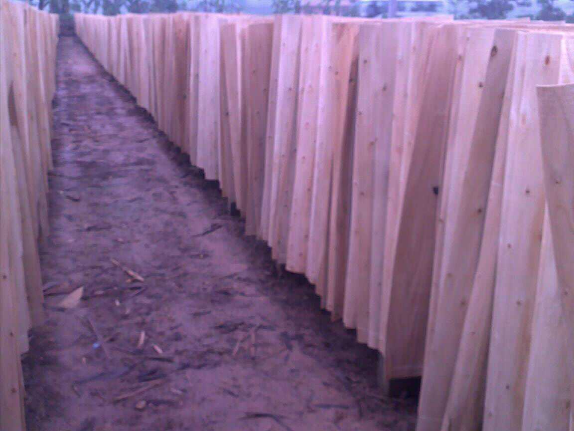 һ����ľ�ΰ��Ԕ��(x��)��B