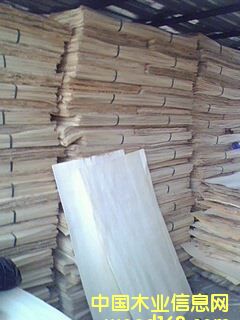 ��ľ�ΰ��Ԕ����B