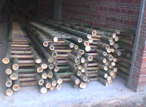 �����z�׵�Ԕ��(x��)��B