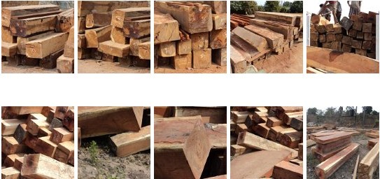 �ϓ뻨���Ԕ����B