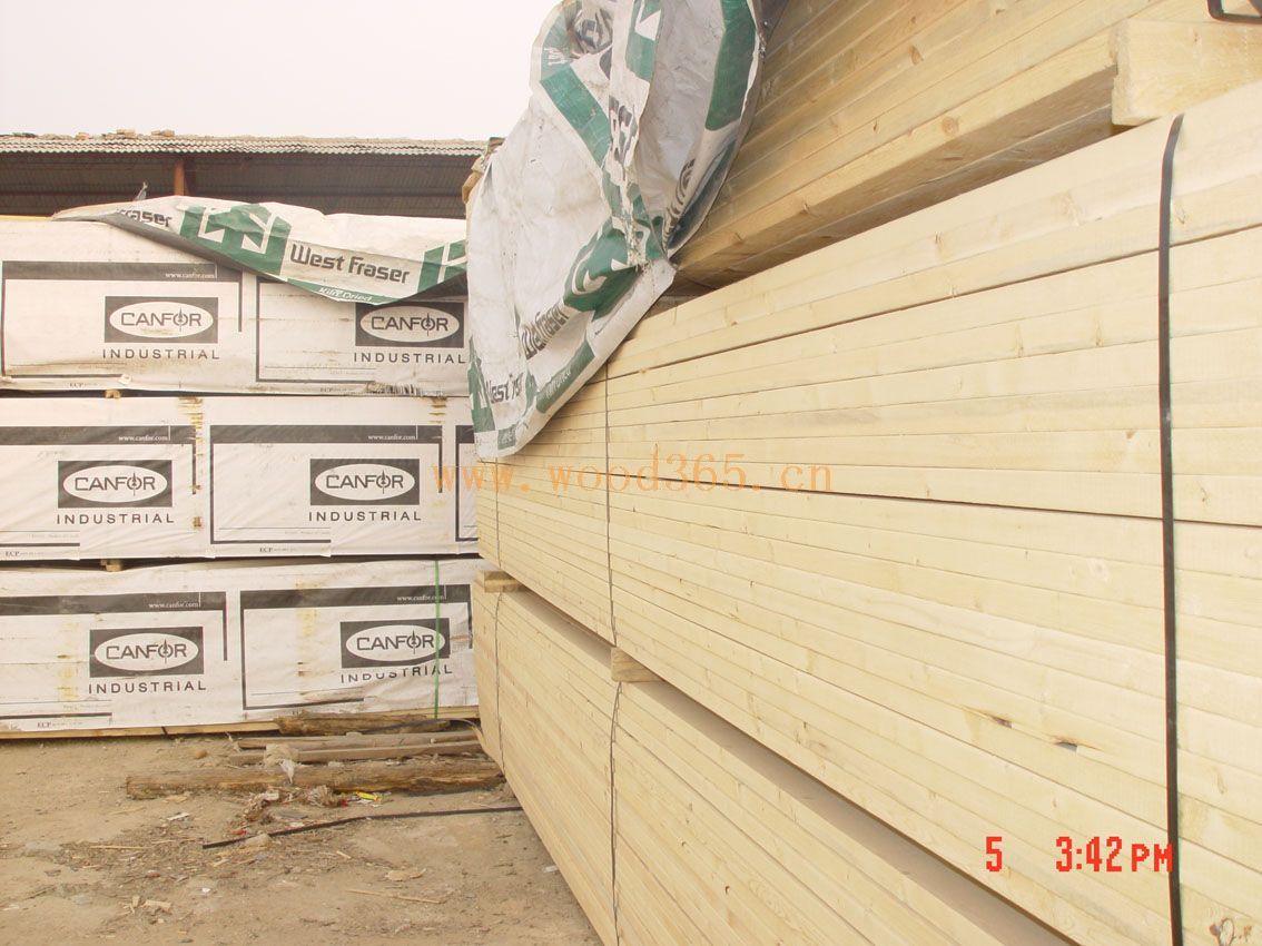 SPF��Ԕ��(x��)��B