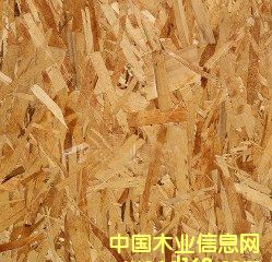 ���⽨�ĮaƷ--OSB��