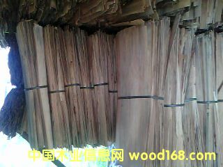 �ΰ��Ԕ����B