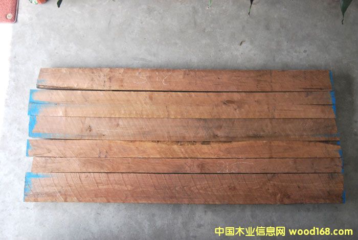 �ں��Ҷ�����Ԕ����B