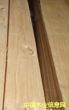 ��ľ��Ԕ����B