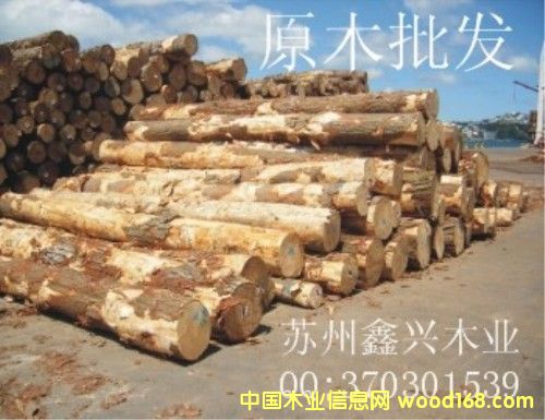 ȺӢľ�I(y��)��Ԕ��(x��)��B