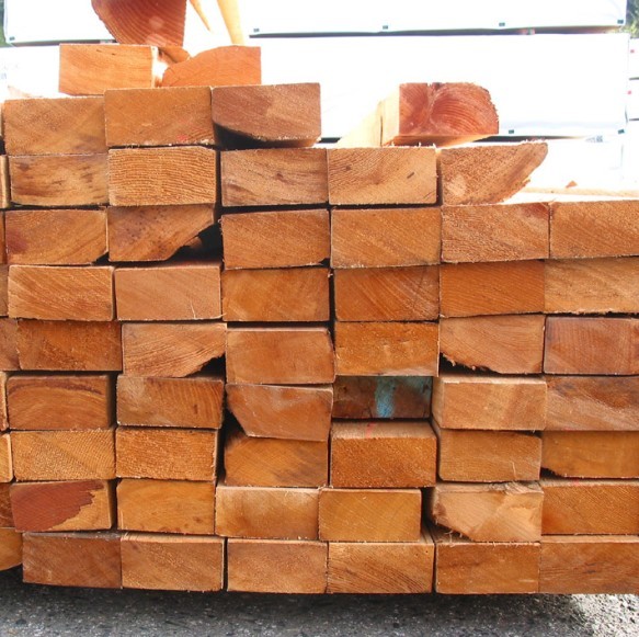 �Fɼ��Ԕ��(x��)��B