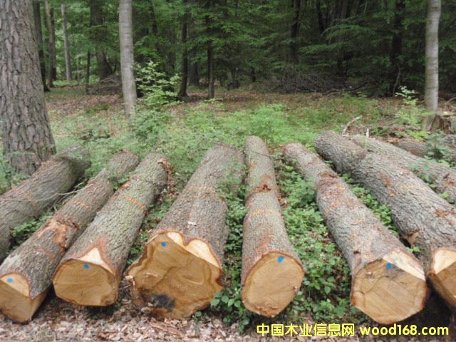 ��(gu��)����ԭľ��Ԕ��(x��)��B