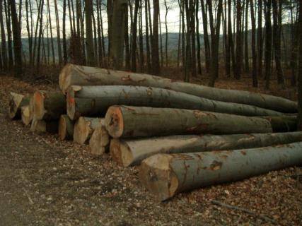 �W�ޙ�ľԭľ��Ԕ��(x��)��B