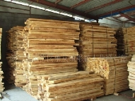 ��׵���������l