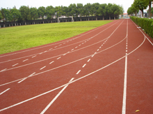 ��ȫ�؉|���؉|�S���T�d�؉|