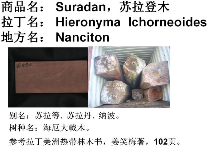 ������ľ��Ԕ��(x��)��B